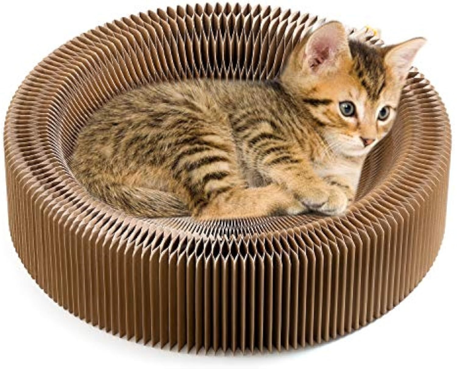 Cat scratcher lounge bed